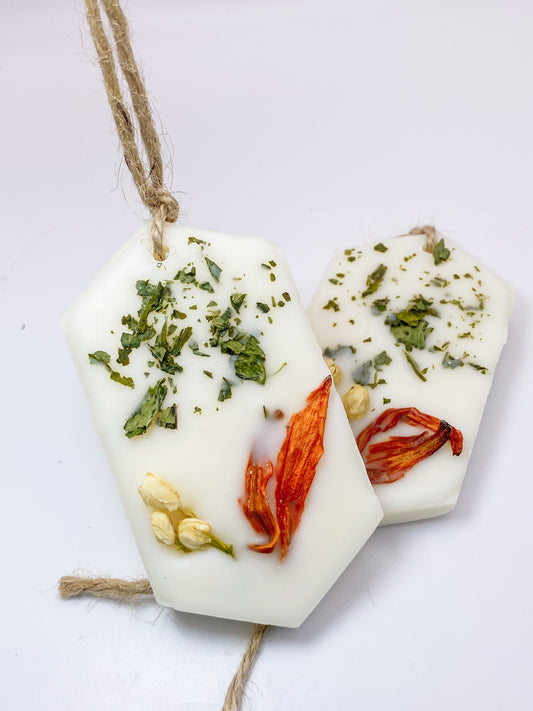 Eucalyptus Mint - Air Freshener Set